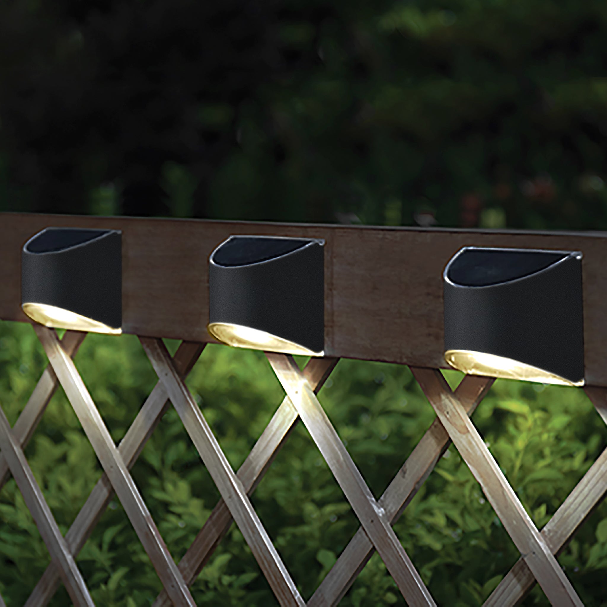 Black Stainless Steel Deck & Wall Light