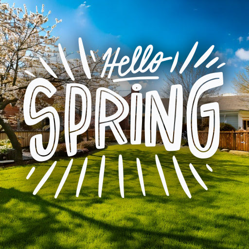 Spring Fro Spring Forward: How to Refresh Your Outdoor Space